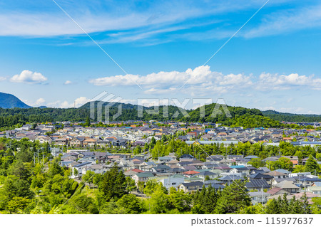 綠色郊區住宅區 115977637