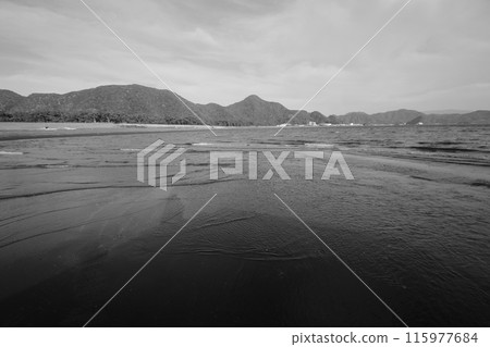 Looking at the sea 115977684