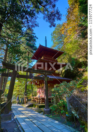 秋季從群馬縣高崎市榛名神社參道參拜殿一側看到的三層寶塔(新寶殿)和鳥居 秋季從群馬縣高崎市榛名神社參道參拜殿一側看到的三層寶塔(新寶殿)和鳥居 115977724
