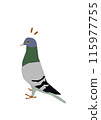Pigeons 115977755