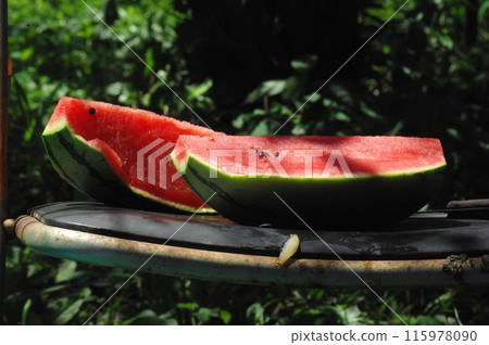 "Watermelon (outside)" 115978090