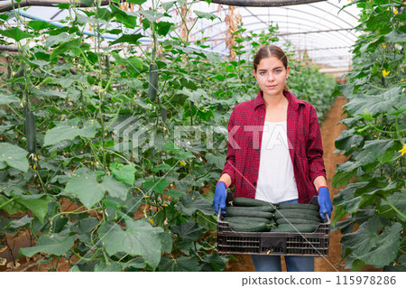 Girl pushing cart with cucumbers 115978286