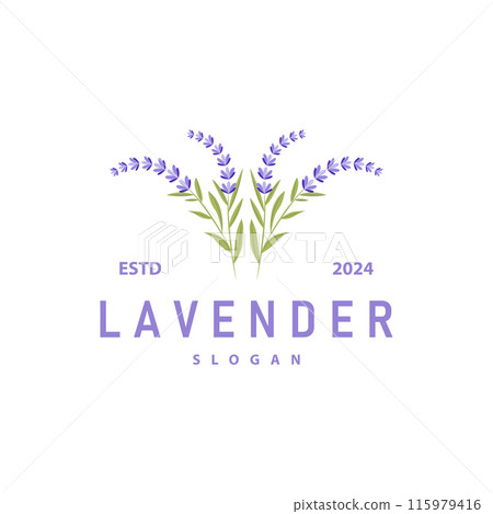 Lavender Logo Elegant Purple Flower Plant Illustration Floral Ornament Design Lavender Logo Elegant Purple Flower Plant Illustration Floral Ornament Design 115979416