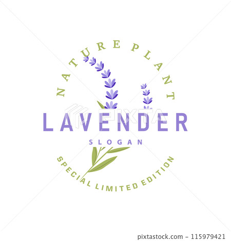 Lavender Logo Elegant Purple Flower Plant Illustration Floral Ornament Design 115979421