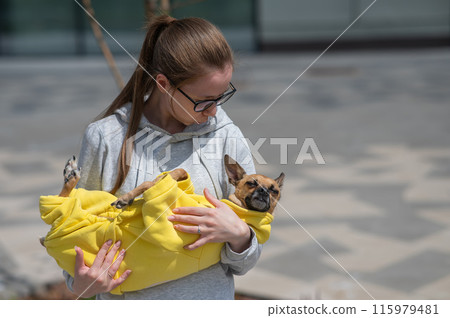 A young Caucasian woman holds a small dog in her hands in a yellow jumpsuit. A young Caucasian woman holds a small dog in her hands in a yellow jumpsuit. 115979481