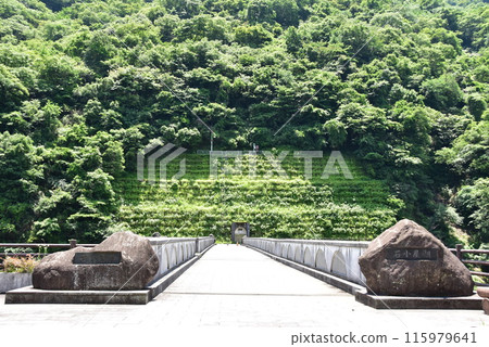 Kanagawa Prefectural Aikawa Park: Ishigoya Bridge and fresh greenery at Ishigoya Dam Kanagawa Prefectural Aikawa Park: Ishigoya Bridge and fresh greenery at Ishigoya Dam 115979641