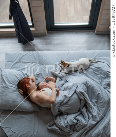 Top view of a red-haired Caucasian woman lying in bed with her baby son and Jack Russell terrier dog. Vertical photo. 115979727