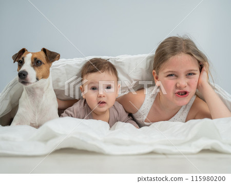 A little girl and her five-month-old brother and Jack Russell Terrier dog lie wrapped in a blanket. A little girl and her five-month-old brother and Jack Russell Terrier dog lie wrapped in a blanket. 115980200