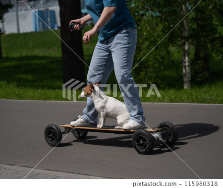 Caucasian woman rides an electric longboard with her Jack Russell Terrier dog. Caucasian woman rides an electric longboard with her Jack Russell Terrier dog. 115980318