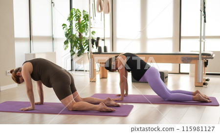 Two pregnant women are doing yoga. Pose cat cow. Two pregnant women are doing yoga. Pose cat cow. 115981127