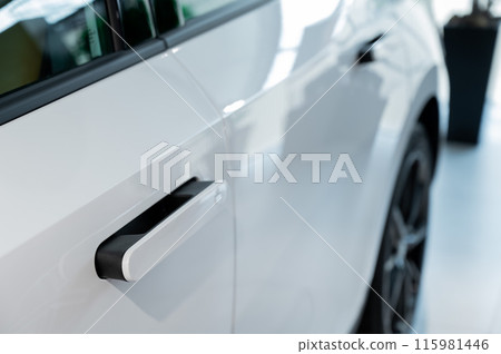 Close-up of an integrated handle in a car door. Fingerprint lock.  115981446