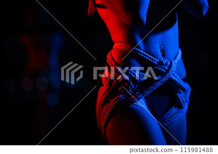 Close-up of a woman's belly in ropes tied using the Japanese shibari technique. Close-up of a woman's belly in ropes tied using the Japanese shibari technique. 115981488