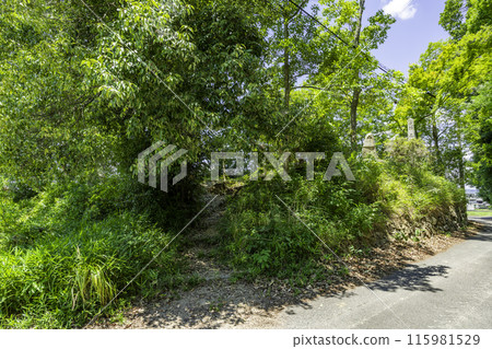 Takamatsu Castle Water Attack Historical Park, Frog-Hana Embankment Site, Okayama City, Okayama Prefecture 115981529