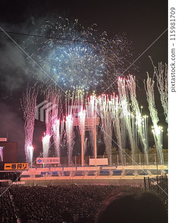 煙花匯演 115981709