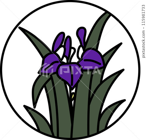 彩色圓形簡單花菖蒲、森若、小月、五月、菖蒲殘渣 彩色圓形簡單花菖蒲、森若、小月、五月、菖蒲殘渣 115981733