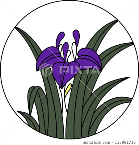 Colored circular Hanafuda cards - Iris, Iris, May, Iris sap Colored circular Hanafuda cards - Iris, Iris, May, Iris sap 115981736