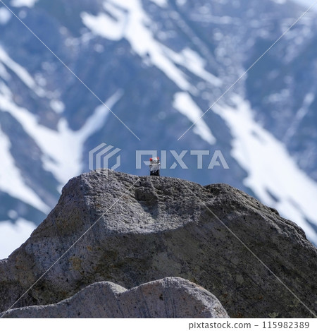 A male ptarmigan peeks out from behind a rock A male ptarmigan peeks out from behind a rock 115982389