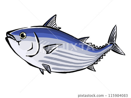 跳躍的鰹魚的插圖 鰹魚的手繪插圖 115984083