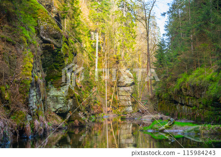 A calm river winds through a lush, forested Wild gorge in Bohemian Switzerland, Czechia. Sunlight filters through the trees, illuminating the rocky cliffs and the sparkling water. A calm river winds through a lush, forested Wild gorge in Bohemian Switzerland, Czechia. Sunlight filters through the trees, illuminating the rocky cliffs and the sparkling water. 115984243