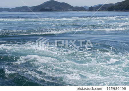 火影忍者的食用潮 115984496