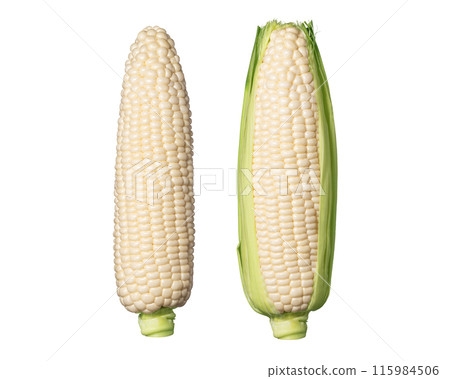 White corn 115984506