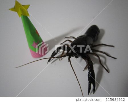 Greeting Crayfish 115984612