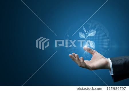 A hand holds a plant sprout. A hand holds a plant sprout. 115984797