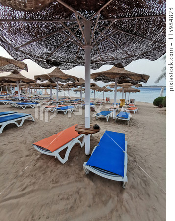 Egypt beach Red Sea Makadi Bay 115984823