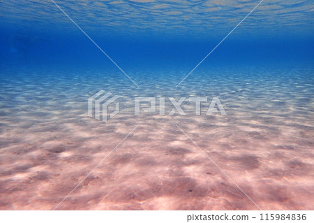 sea sand annd water from the makadi bay sea sand annd water from the makadi bay 115984836