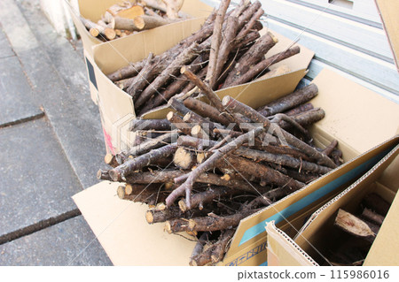 Photo of cut tree branches placed in cardboard Photo of cut tree branches placed in cardboard 115986016