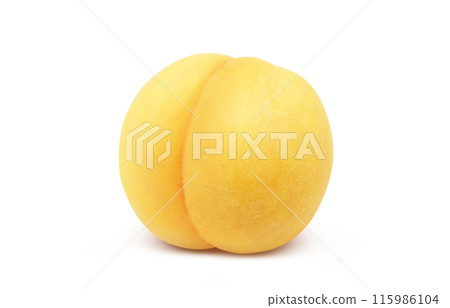 Golden peach illustration, realistic, white background 115986104