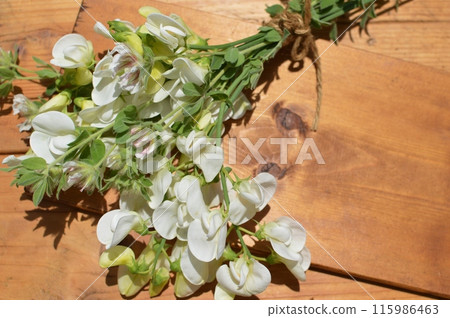夏季甜豌豆和蓮花硫磺的白色花束 夏季甜豌豆和蓮花硫磺的白色花束 115986463