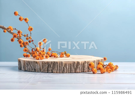 Wood podium saw cut of tree on blue background with autumn rowan berries. Concept scene stage showcase, product, promotion sale, presentation, beauty cosmetic. Wooden stand studio empty 115986491