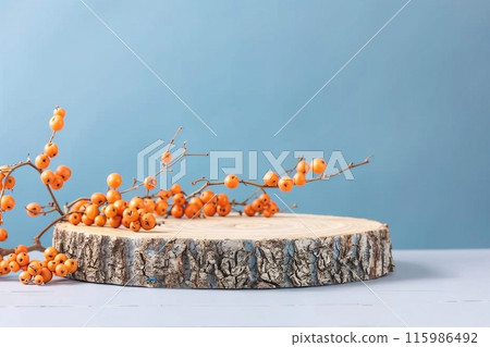 Wood podium saw cut of tree on blue background with autumn rowan berries. Concept scene stage showcase, product, promotion sale, presentation, beauty cosmetic. Wooden stand studio empty 115986492