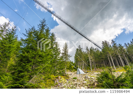 Sky Bridge 721, the worlds longest suspension footbridge in Dolni Morava, Czech Republic, offers stunning views of a forested valley with a bright blue sky and fluffy clouds. 115986494