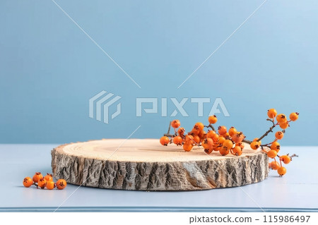 Wood podium saw cut of tree on blue background with autumn rowan berries. Concept scene stage showcase, product, promotion sale, presentation, beauty cosmetic. Wooden stand studio empty 115986497