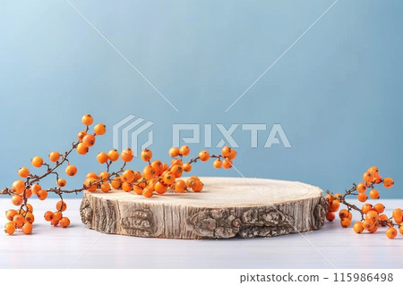 Wood podium saw cut of tree on blue background with autumn rowan berries. Concept scene stage showcase, product, promotion sale, presentation, beauty cosmetic. Wooden stand studio empty 115986498