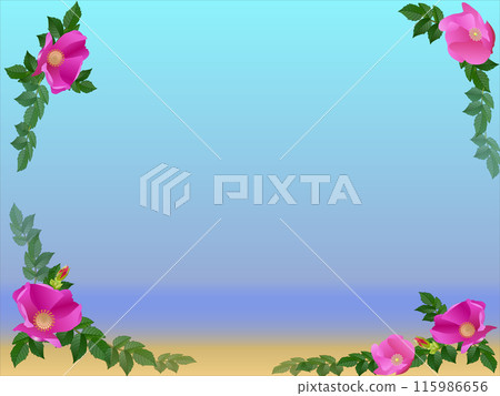 Frame with rosehip flowers and green leaves on all four corners against a blue sky and sandy beach background. Frame with rosehip flowers and green leaves on all four corners against a blue sky and sandy beach background. 115986656