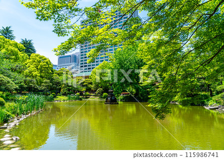 [東京] 初夏綠意盎然的日比谷公園池塘 115986741