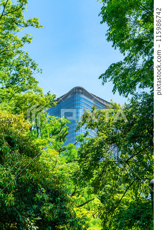 [東京]從日比谷公園看到的東京中城日比谷 115986742