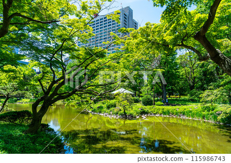 [東京] 初夏綠意盎然的日比谷公園池塘 115986743