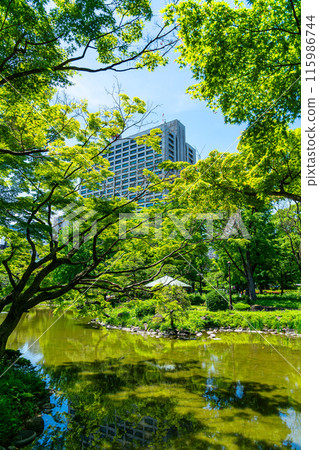[Tokyo] The pond in Hibiya Park is beautiful with the fresh greenery of early summer 115986744