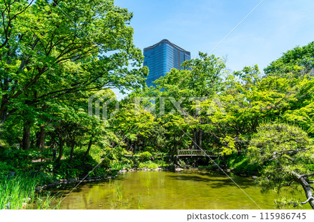 [東京] 初夏綠意盎然的日比谷公園池塘 115986745