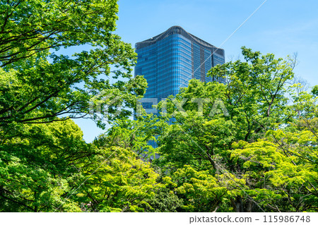[東京]從日比谷公園看到的東京中城日比谷 115986748