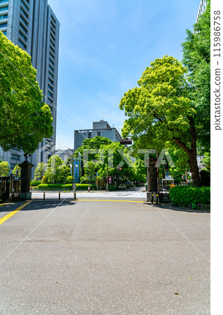 [Tokyo] View of the surrounding buildings from Hibiya Park 115986758
