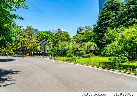 [東京]初夏綠意盎然的日比谷公園 115986762