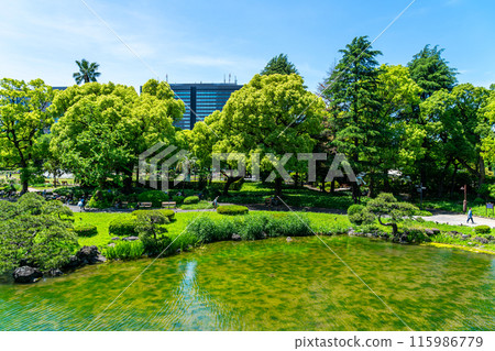 [Tokyo] Hibiya Park with beautiful early summer greenery 115986779