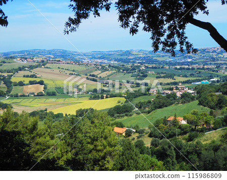 Areal view of the small European town Areal view of the small European town 115986809