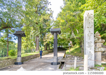 Chusonji Temple approach: 300-year-old cedar trees planted during the Edo period provide shade for visitors, creating a solemn atmosphere. Chusonji Temple approach: 300-year-old cedar trees planted during the Edo period provide shade for visitors, creating a solemn atmosphere. 115986880
