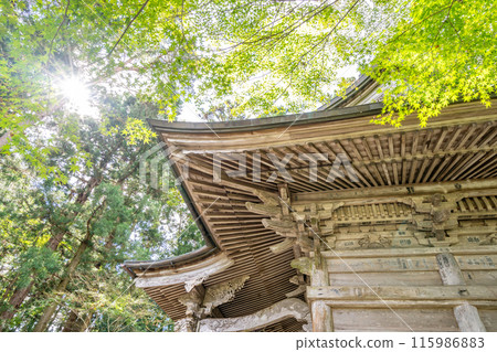 Chusonji Temple Benkei Hall Maple Trees - Wooden statues of Yoshitsune and Benkei are enshrined. The coffered ceiling inside the hall is painted with over 60 kinds of flowers. 115986883